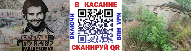 Где купить наркоту Саранск МЕГА онион  A-PVP  МЕФ  МАРИХУАНА 