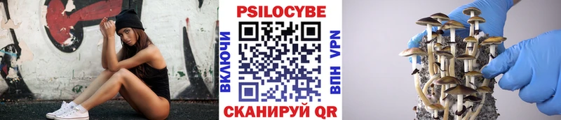 Галлюциногенные грибы Cubensis  Саранск 